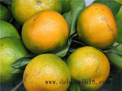 柑橘专用叶面肥用法用量
